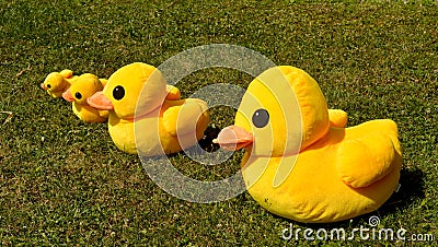 Several small plush duck Stock Photo