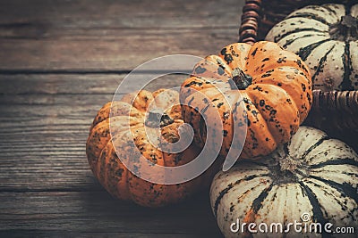 Several small pumpkins on a wooden board Stock Photo