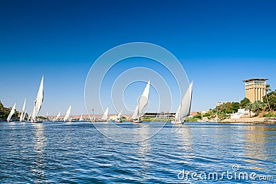 Several Traditional Nile Feluccas Stock Photo