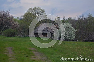 Several traditional Ukrainian old huts with thatched roofs. Stock Photo