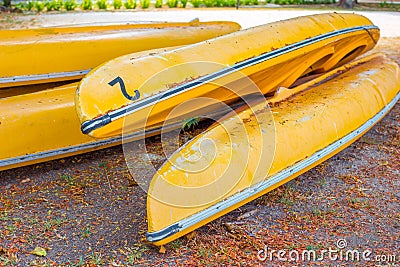 Several yellow old canoes Stock Photo