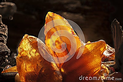 Beauty of natural amber. Several yellow natural amber stones in a cave. Stock Photo