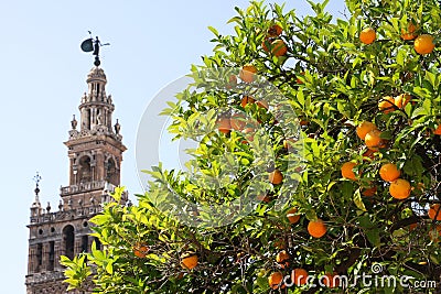 Seville Stock Photo