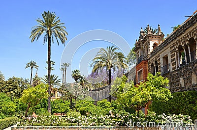 Seville Alcazar Garden Stock Photo