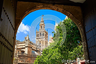 Seville cathedral Giralda tower from Alcazar Stock Photo