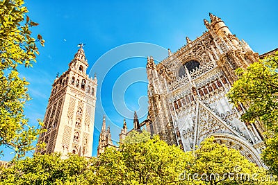 Seville Cathedral and Giralda Tower during Beautiful Sunny Day in Seville Stock Photo