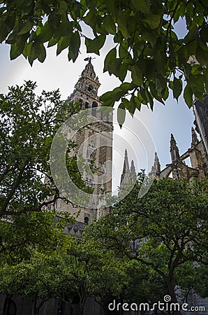 Seville Cathedral, Spain, Europe Stock Photo