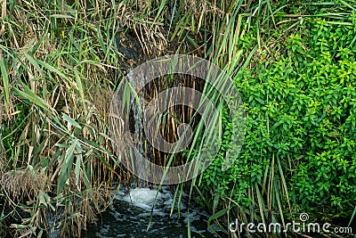 Sewage flows into the lake from the territory of a large plant. Leaking dirty water from the sewer. Environmental pollution. Stock Photo