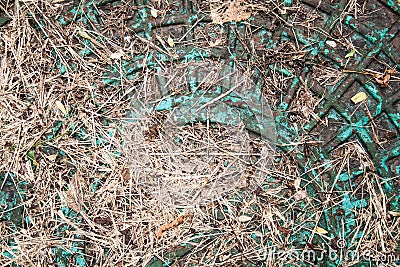 Sewer hatch under dryed grass. background, pattern. Stock Photo