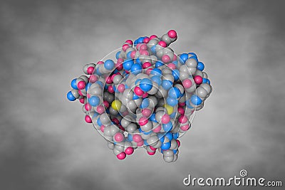 Sex hormone-binding globulin (SHBP) or sex steroid-binding protein (SSBP), a glycoprotein that binds Cartoon Illustration