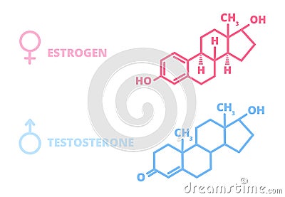 Sex hormones. Laboratory symbol, hormone estrogen testosterone chemical structure. Man girl health, information molecule Vector Illustration