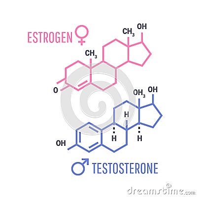 Estrogen and Testosterone Hormones symbol Vector Illustration