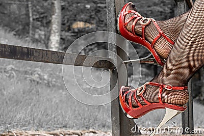 legs in fishnet stockings Stock Photo