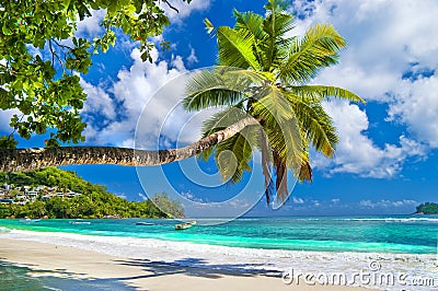 Seychelles Stock Photo