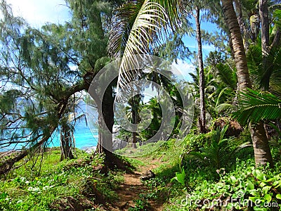 Seychelles, Silhouette island, Anse Cimetiere beach trail Stock Photo