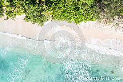 Seychelles Takamaka beach Mahe island copyspace nature vacation drone view aerial photo Stock Photo