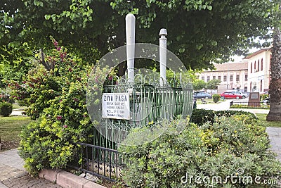 Memorial grave of Ziya Paaha in Adana Editorial Stock Photo