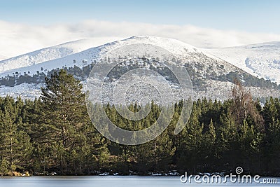 Sgor Gaoithe mountain at Glen Feshie in the Cairngorms National Park of Scotland. Stock Photo