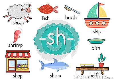 Sh digraph with words educational poster for kids. Learning phonics for school and preschool Vector Illustration