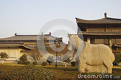 Shaanxi History Museum Stock Photo