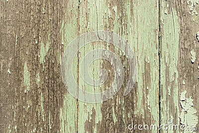 Shabby light green wood planks Stock Photo