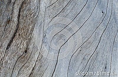 Shabby wooden texture close-up photo. Cold grey wood background. Stock Photo