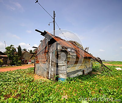 Shack Stock Photo