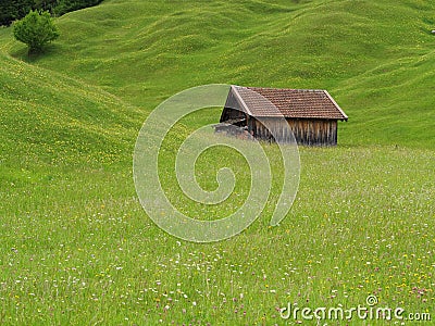 Farm shed in green hills of alpine upland summer season nature Stock Photo