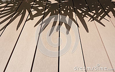 Shade on the house`s terrace from tree`s leaves Stock Photo