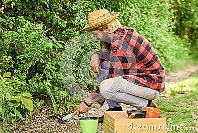 Shade tolerant plants can be planted under trees. Planting trees and shrubs. Gardener planting flower with garden trowel Stock Photo