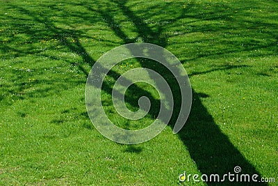 Shade of tree Stock Photo