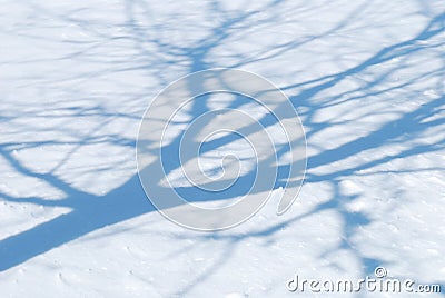Shade from a tree on bright snow Stock Photo