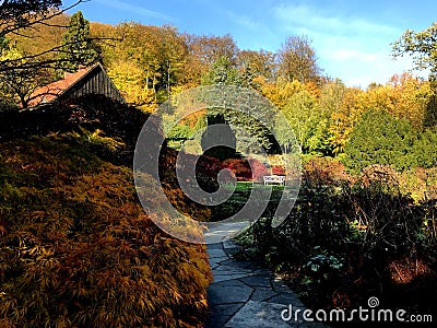 Vibrant colors in a botanical garden Stock Photo