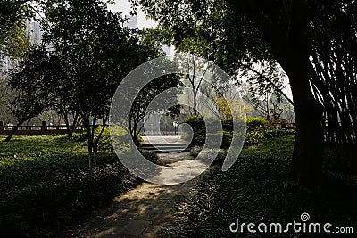 Shaded riverside path in sunny winter afternoon Editorial Stock Photo