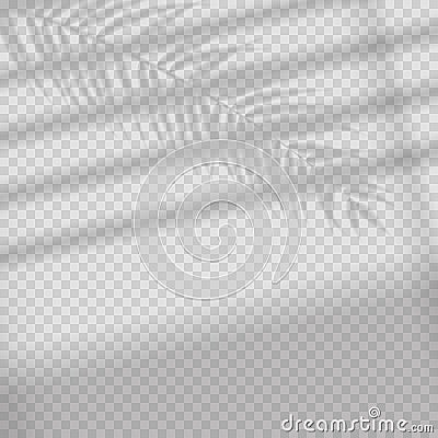 Transparent shadow overlay effect. Tropic leaf and window blind. Photo-realistic illustration with palm leaves. Vector Illustration