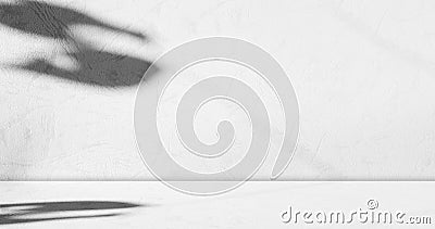 Shadow Background Floor Kitchen Concrete Wall White Texture Light Leaf Room Studio Product Sun Gradient Abstract Gray from Window Stock Photo