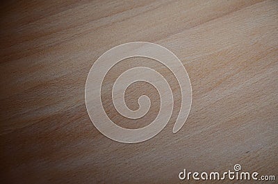 Shadow on the background of wood, Surface of teak wood background for design and decoration, natural beech texture, beech table, Stock Photo