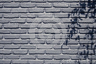 Shadow of branches tree shaded on rustic gray brick wall. Stock Photo