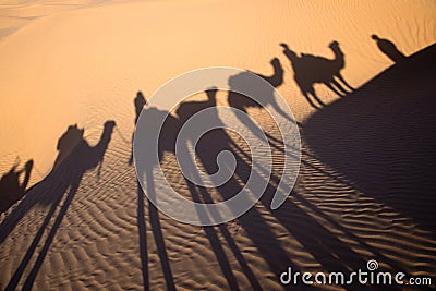 Shadow of a camel caravan in the sand, Tunisia Stock Photo