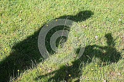 Shadow of a cameraman Stock Photo