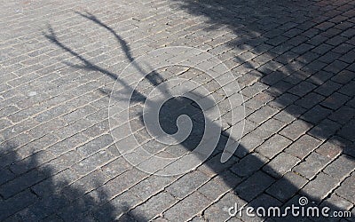 Shadow of the Christmas reindeer with large branching antlers on the paving stone Stock Photo