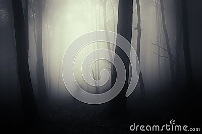 Shadow ghost on Halloween in dark forest with fog Stock Photo