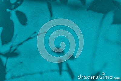 Shadow of leaves on turquoise concrete wall texture background Stock Photo