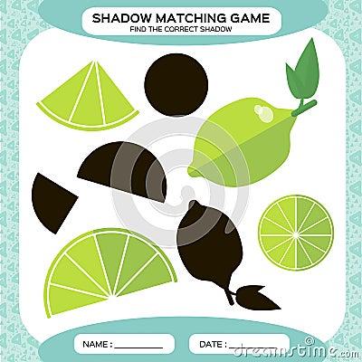 Shadow matching game. Find the correct shadows. Activity page for kids. Kindergarten worksheets by matching colorful Vector Illustration