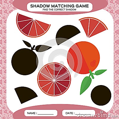 Shadow matching game. Find the correct shadows. Activity page for kids. Kindergarten worksheets by matching colorful Vector Illustration