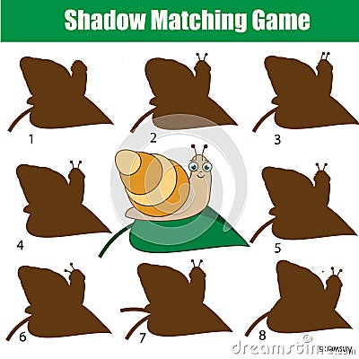 Shadow matching game. Kids activity with snail. Animals theme Vector Illustration