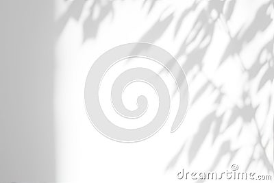 Shadow overlay effect. Abstract sunlight background with organic botanical shadows from plants, leaves, and branches Stock Photo