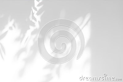 Shadow overlay effect. Abstract sunlight background with organic botanical shadows from plants, leaves, and branches Stock Photo