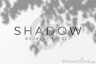 Shadow overlay effect. Transparent soft light and shadows from plant branches, leaves and foliage Vector Illustration