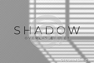 Shadow overlay effect. Transparent soft light and shadows from windows and jalouse Vector Illustration